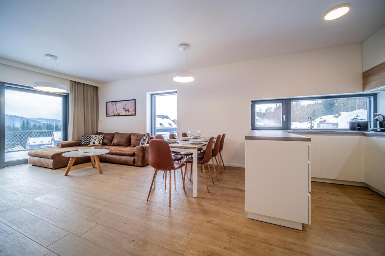Apartman U Hajenky 429 Lipno nad Vltavou Dış mekan fotoğraf
